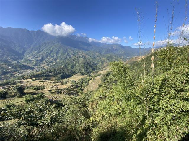 VietnamIMG_5601.jpg