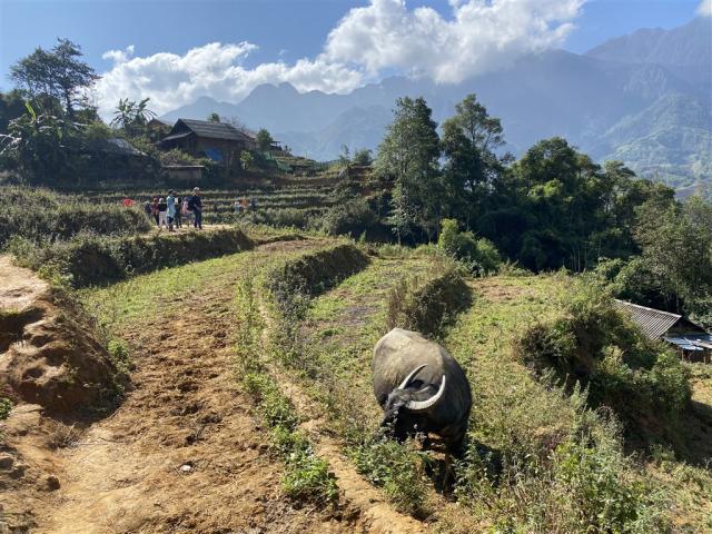 VietnamIMG_5622.jpg