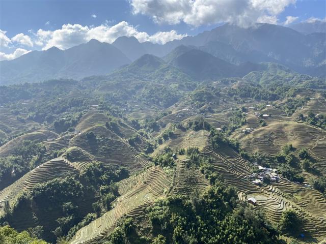 VietnamIMG_5642.jpg