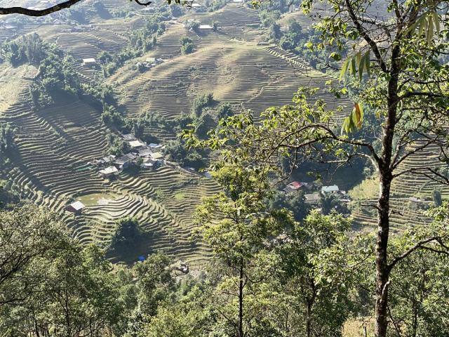 VietnamIMG_5627.jpg