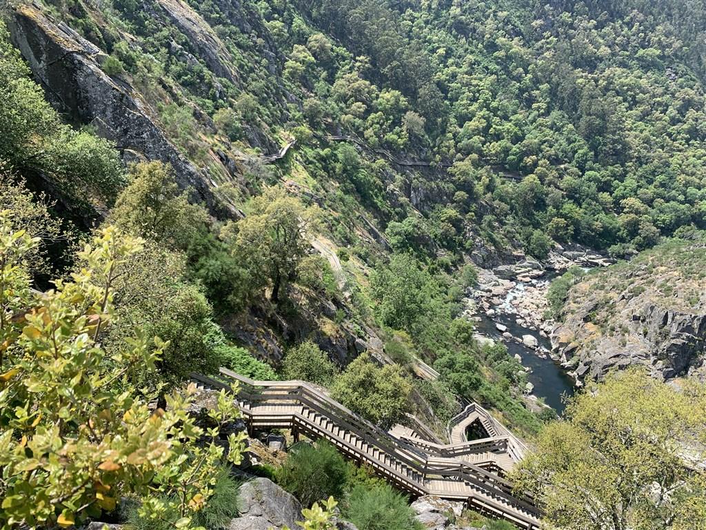 Arouca