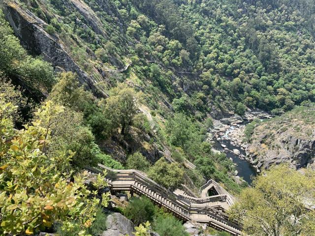 Arouca