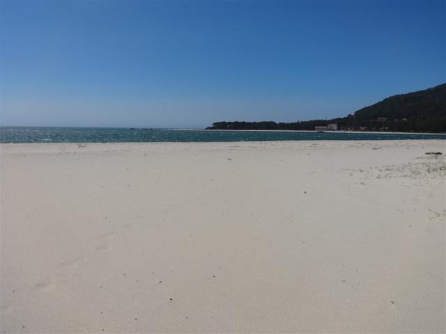 Caminha