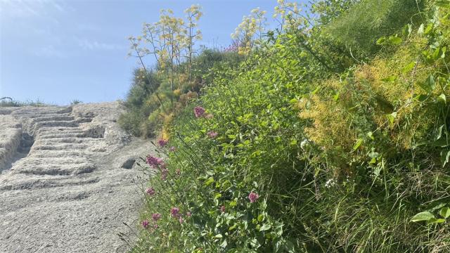 Ischia IMG_4867.JPEG