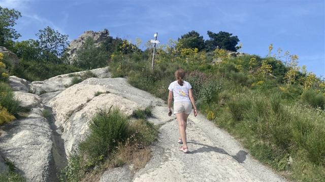Ischia IMG_4869.JPEG