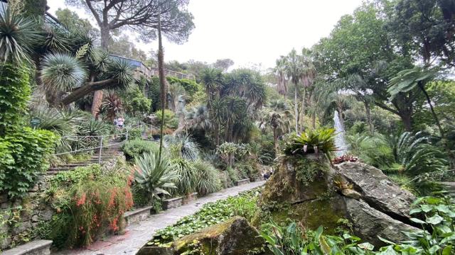 Ischia IMG_5016.JPEG
