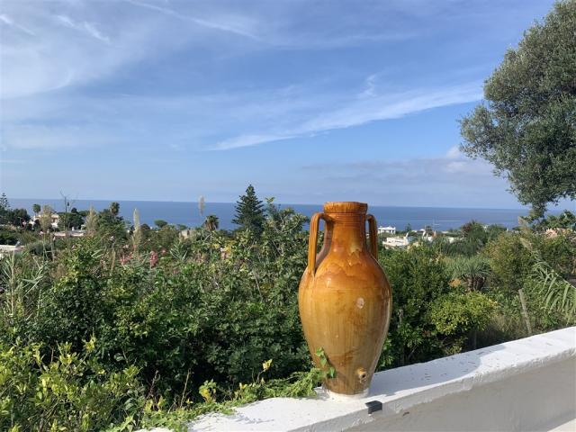 Ischia19.jpg