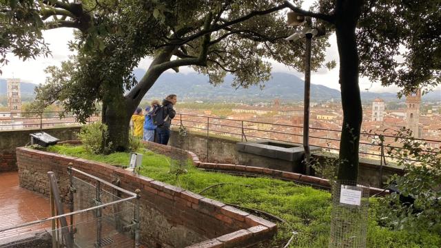 Lucca IMG_6919.JPEG