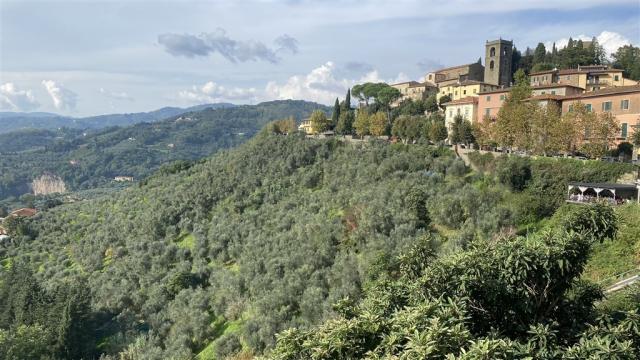 Montecatini IMG_7086.JPEG