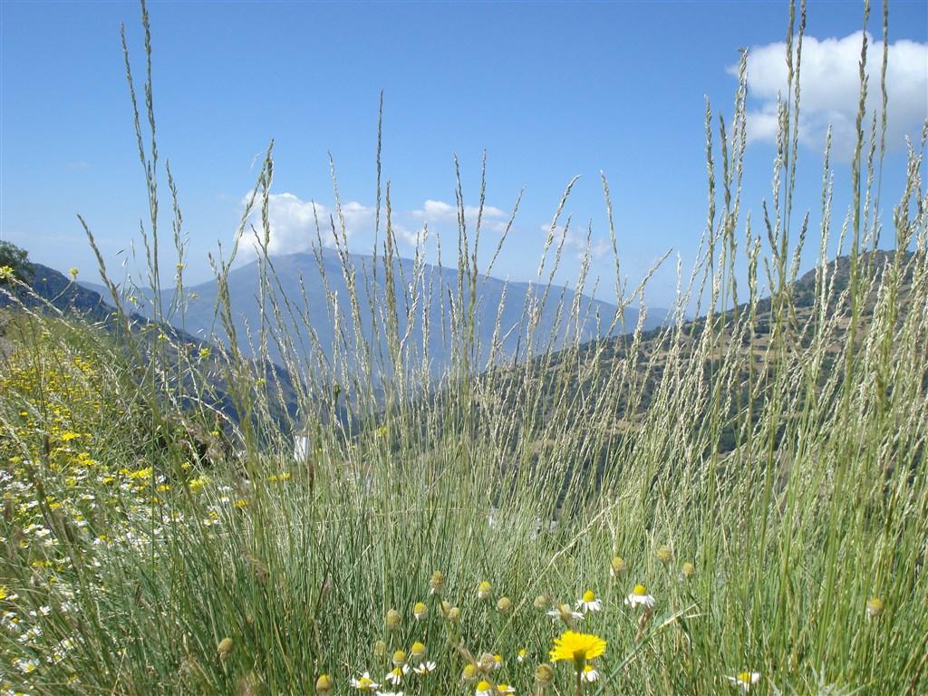Andalusie 43