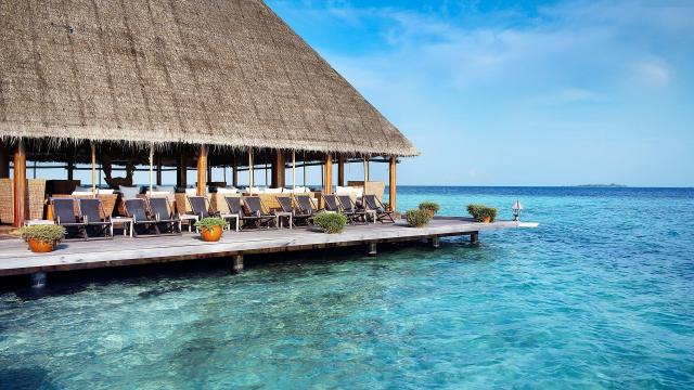 Gangehi Island Resort