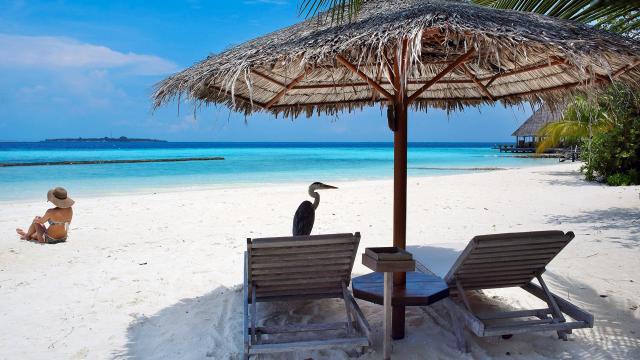 Gangehi Island Resort