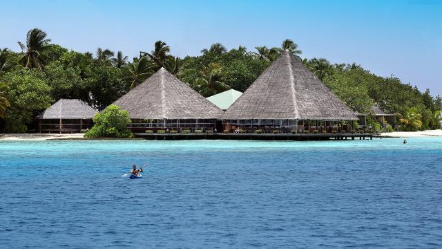 Gangehi Island Resort