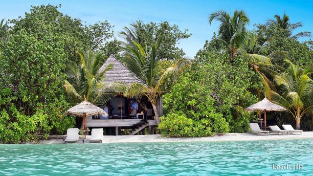 Gangehi Island Resort