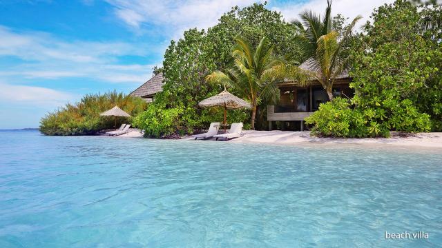 Gangehi Island Resort