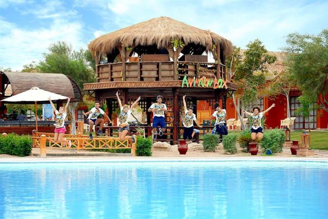 Egypt lodí po Nilu s pobytem u moře & Hotel Pickalbatros Jungle Aqua Park by Neverland