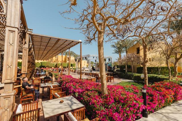 Egypt lodí po Nilu s pobytem u moře & Hotel Stella Di Mare Gardens