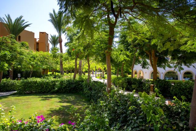Malý okruh Egyptem / Privátní auto s průvodcem & Hotel Stella Di Mare Beach & Spa