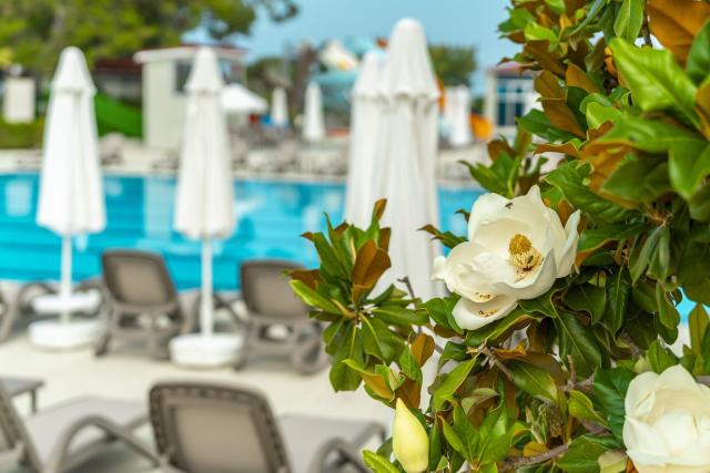Orient Express & Hotel Casa Fora Beach Resort