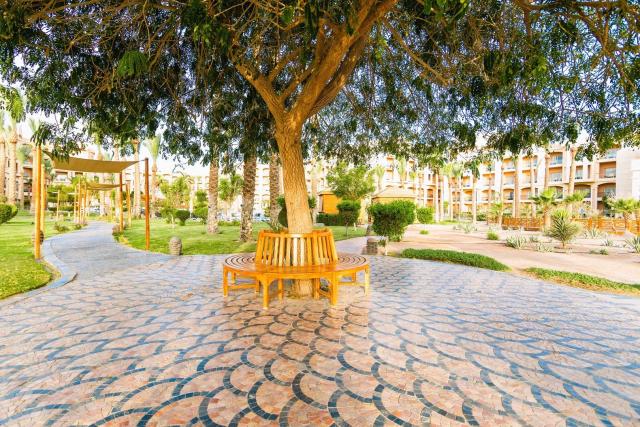 Po stopách českých egyptologů & Hotel Tropitel Sahl Hasheesh
