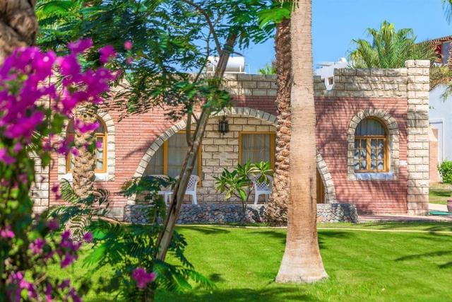 Po stopách českých egyptologů & Hotel Aladdin Beach Resort