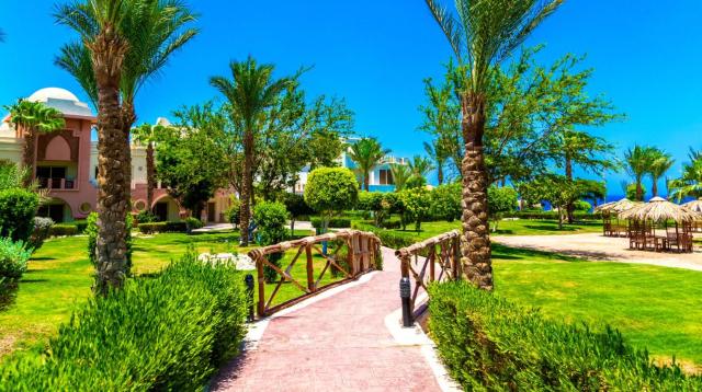 Po stopách českých egyptologů & Hotel Serenity Alpha Beach (ex. Serenity Makadi Beach)
