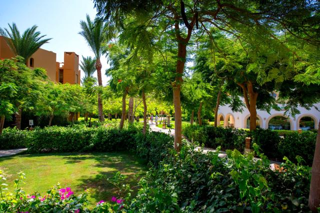 Malý okruh Egyptem s koupáním v Hurghadě & Hotel Stella Di Mare Beach & Spa