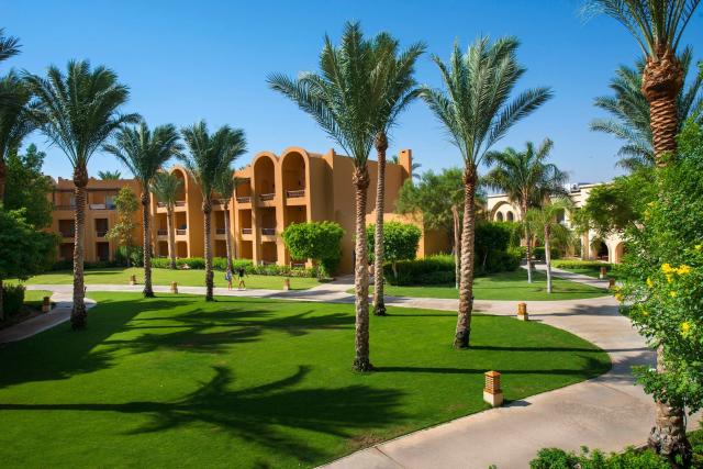 Po stopách českých egyptologů & Hotel Stella Di Mare Beach & Spa