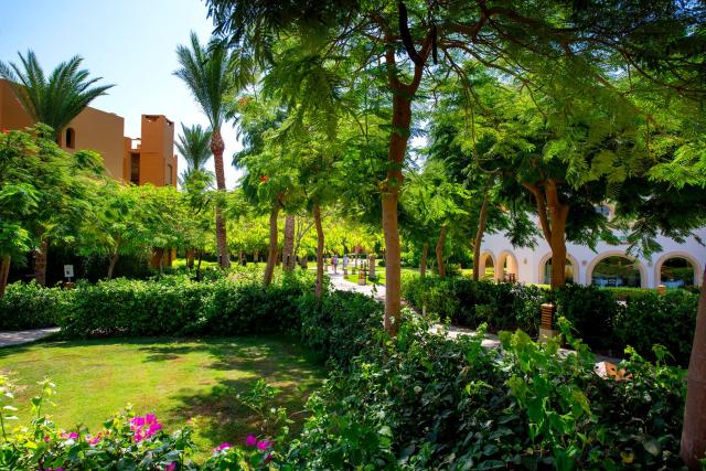 Po stopách českých egyptologů & Hotel Stella Di Mare Beach & Spa
