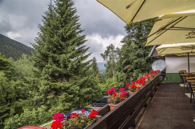 parkhotel-harrachov-cesko-restaurace-venkovni-terasa.jpg