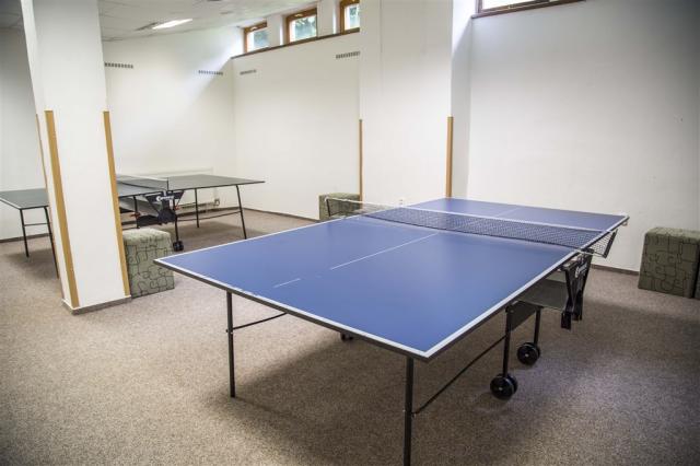 parkhotel-harrachov-cesko-aktivity-stolni-tenis.jpg