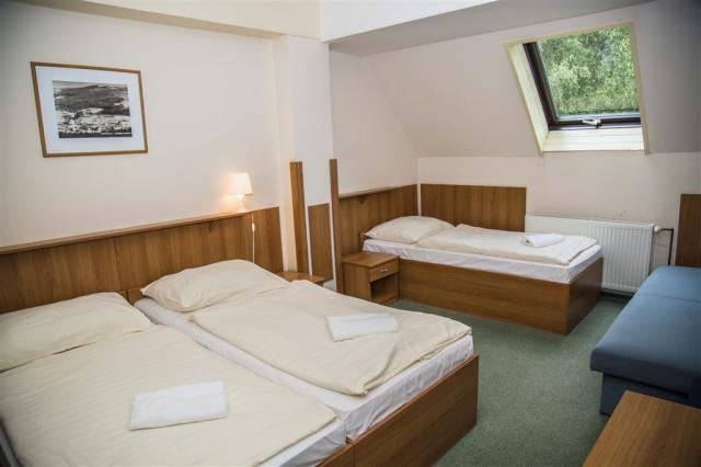 parkhotel-harrachov-cesko-triluzkovy-pokoj.jpg