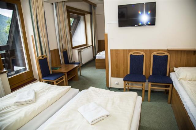 pakrhotel-harrachov-cesko-apartman.jpg