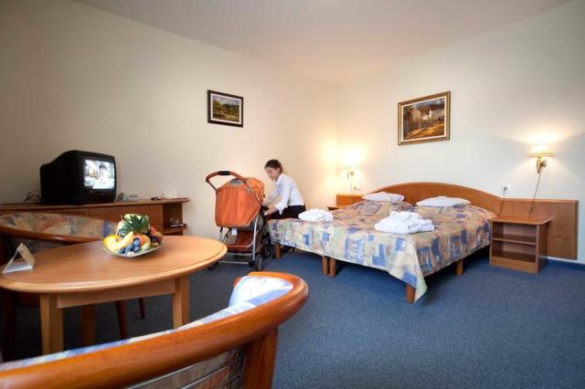 hotel-kehida-termál-kehidakustány-khd03-pokoj-standard-2.jpg