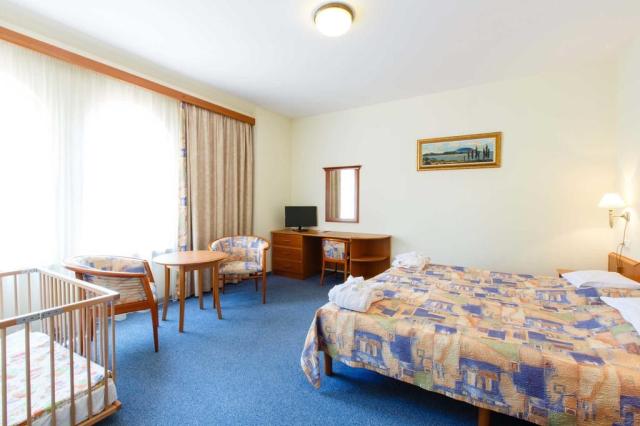 hotel-kehida-termál-kehidakustány-khd03-pokoj-Standard-3.jpg