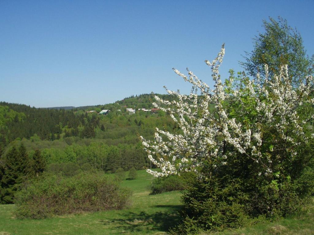 penzion-na-slunicku-marianska-krajina-2.jpg