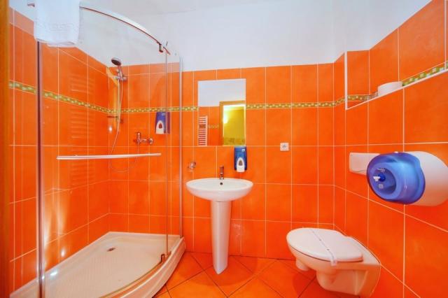 hotel-lesana-ceska-republika-spindleruv-mlyn-pokoj-koupelna (2)