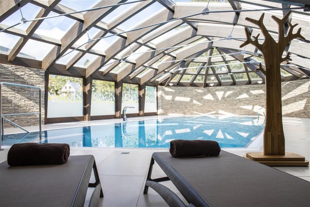 hotel-amenity-ceska-republika-orlicke-hory-wellness-bazen.jpg