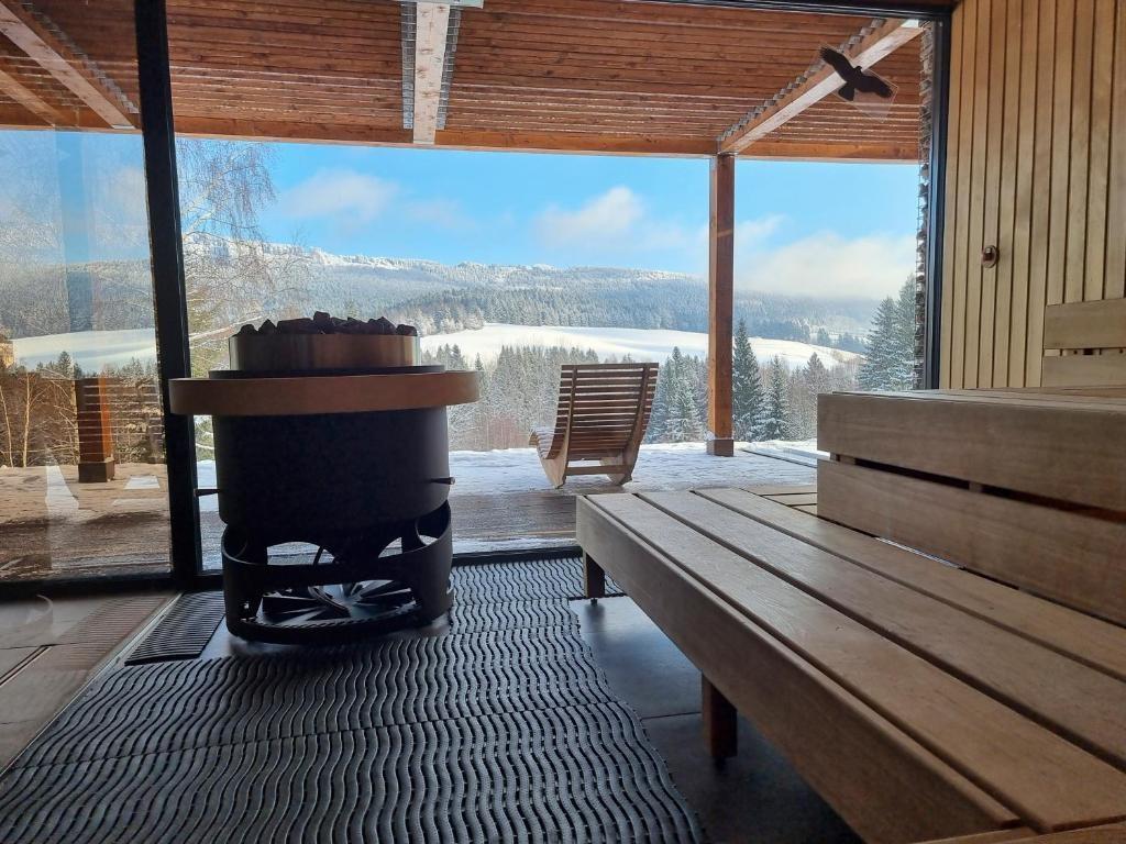hotel-amenity-ceska-republika-orlicke-hory-wellness-finská-saun