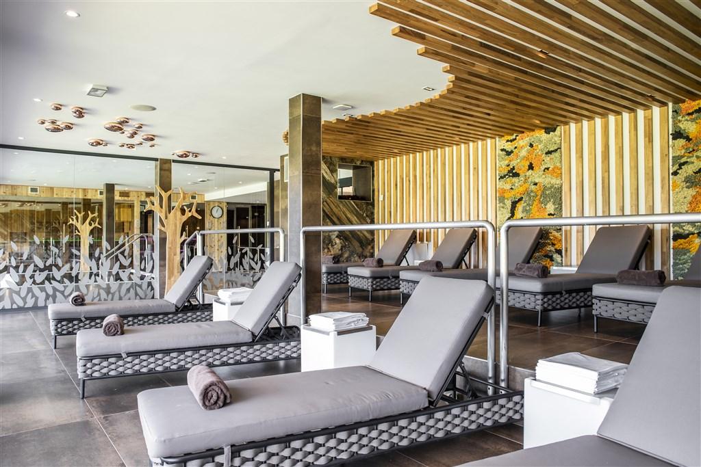 hotel-amenity-ceska-republika-orlicke-hory-wellness-odpocivarna