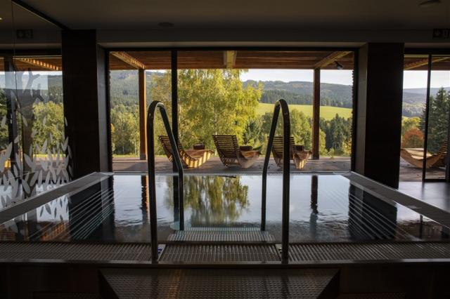 hotel-amenity-ceska-republika-orlicke-hory-wellness-virivka.jpg