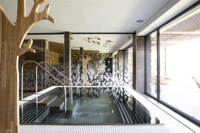 hotel-amenity-ceska-republika-orlicke-hory-wellness-virivka (2)