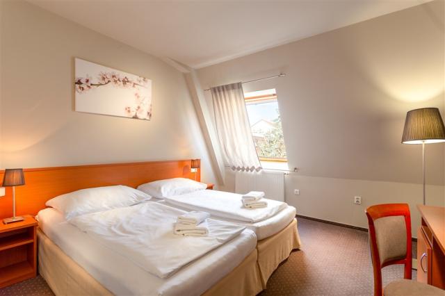 wellness-hotel-amande-hustopece-pohled-na-pokoj-2.jpg