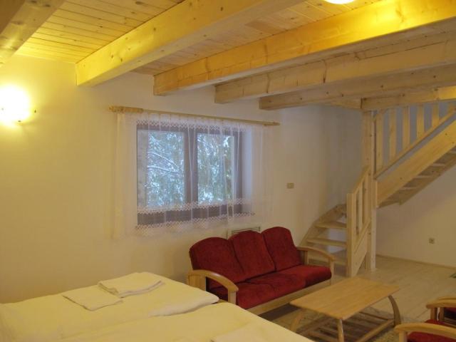 horsky-hotel-excelsior-horni-lomna-ubytovani.jpg