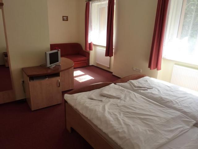 horsky-hotel-excelsior-horni-lomna-ubytovani-7.jpg