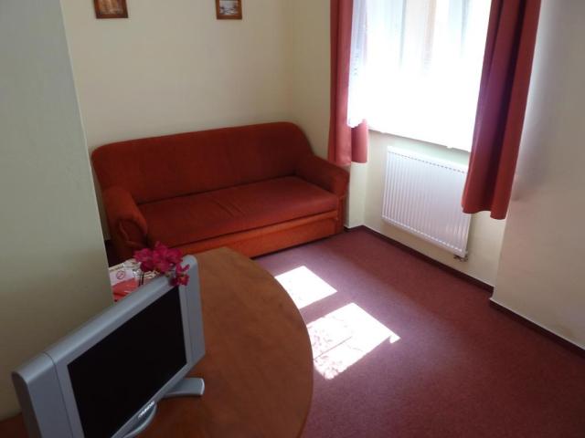 horsky-hotel-excelsior-horni-lomna-ubytovani-8.jpg