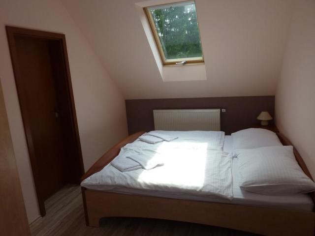 horsky-hotel-excelsior-horni-lomna-ubytovani-11.jpg