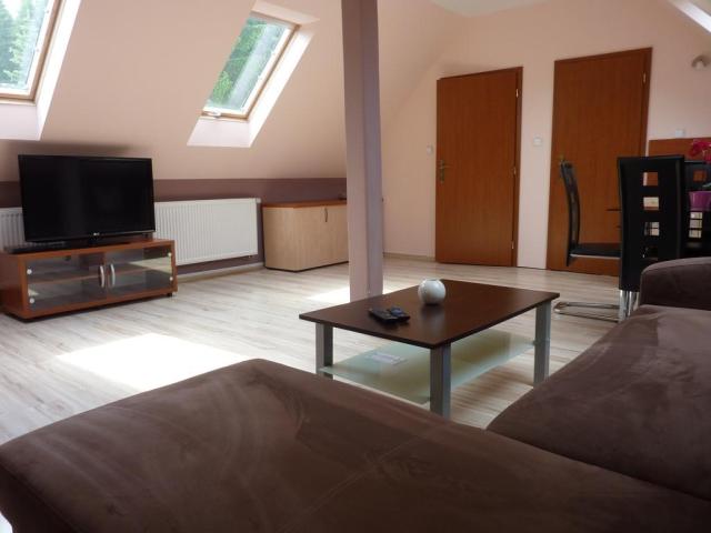 horsky-hotel-excelsior-horni-lomna-ubytovani-12.jpg