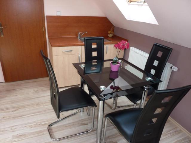 horsky-hotel-excelsior-horni-lomna-ubytovani-13.jpg
