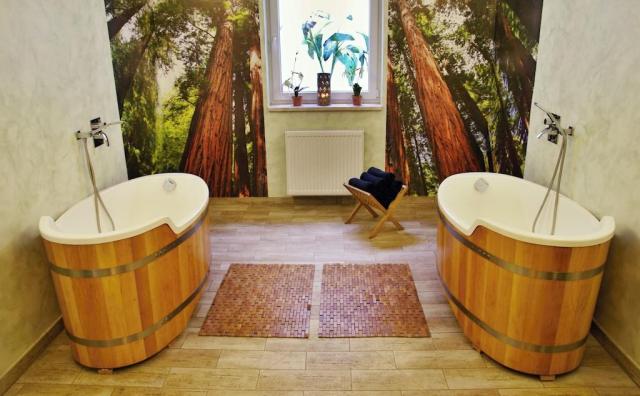 hotel-a-penzion-seeberg-frantiskovy-lazne-wellness3.jpg